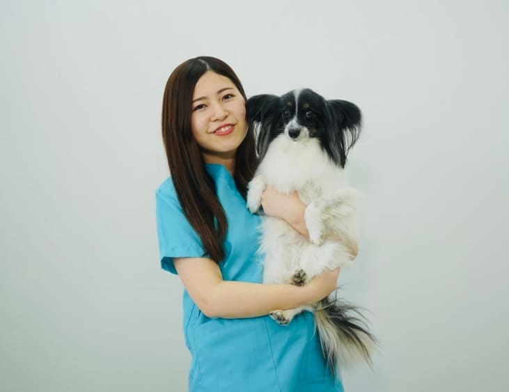 犬の歯科衛生士 実雲 茜