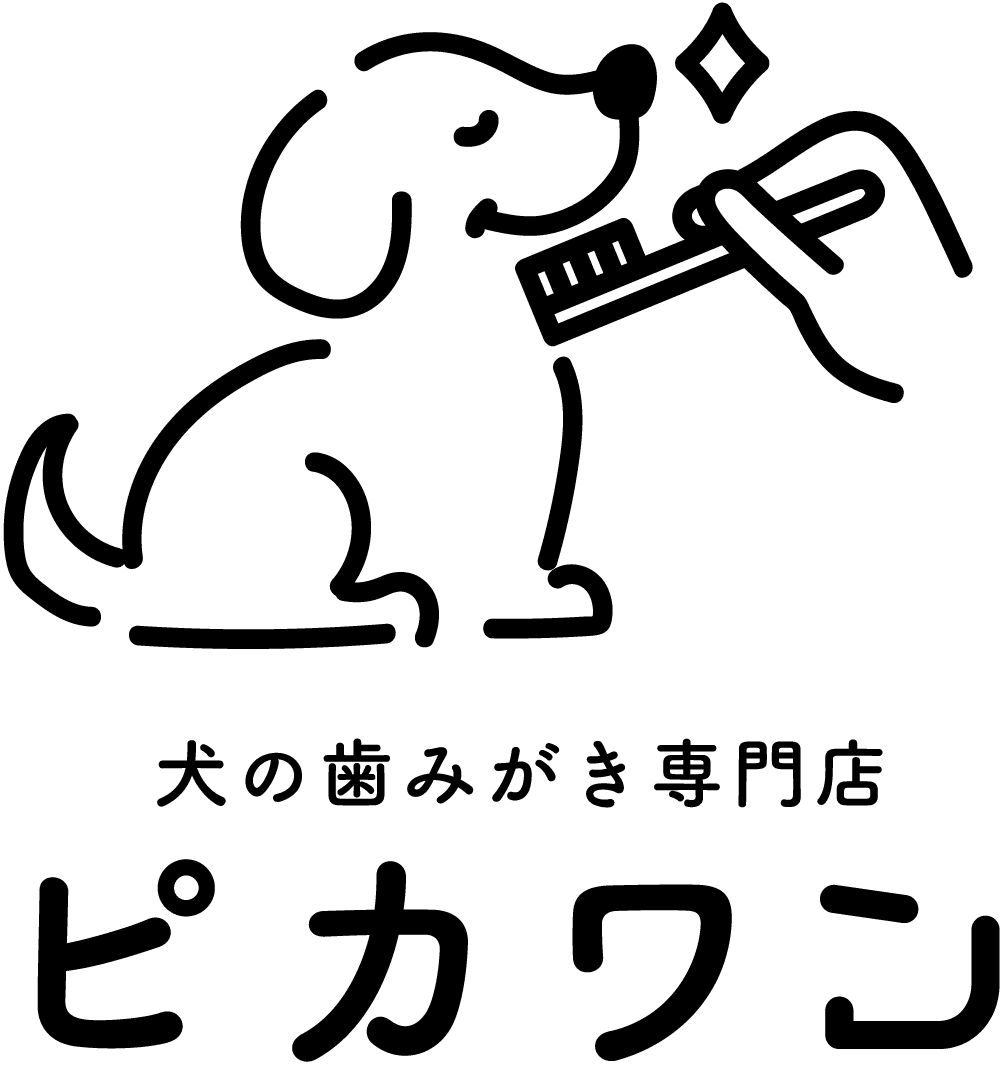 ピカワンlogo